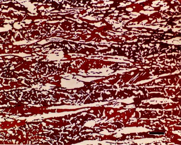 octahedrite-grain-structure_2