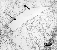 f6-cohenite-schreibersite-a-sm