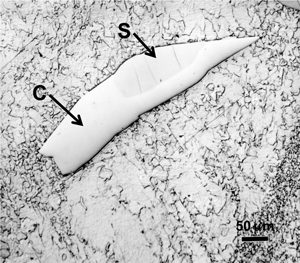 f6-cohenite-schreibersite-b-sm